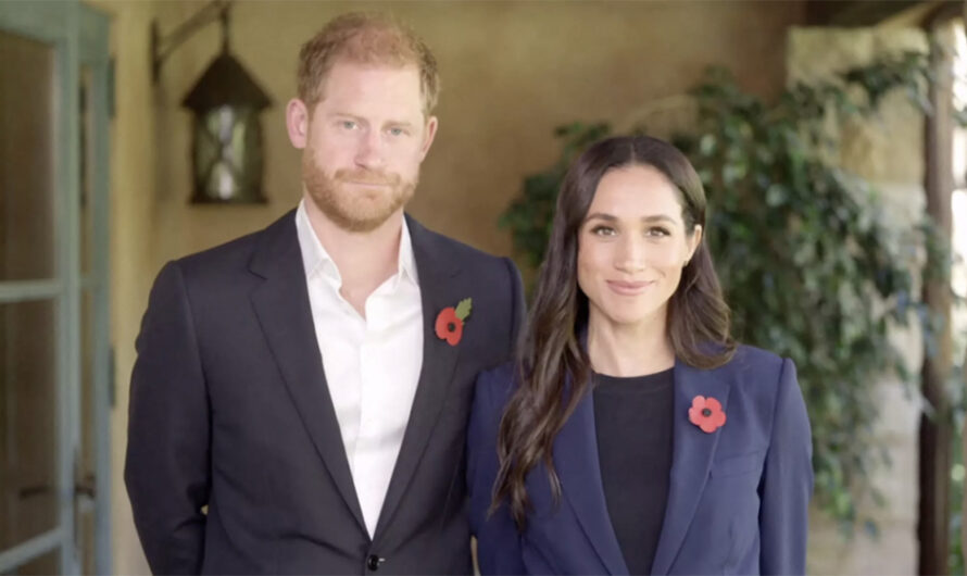 Archie et Lilibet, les enfants de Meghan Markle et Harry, se dévoilent comme rarement sur Instagram