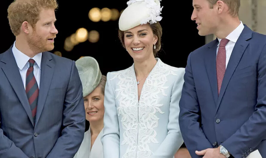 “Harry et William ne seront plus jamais vus ensemble” : la paix ne pourra se jouer qu’en privé