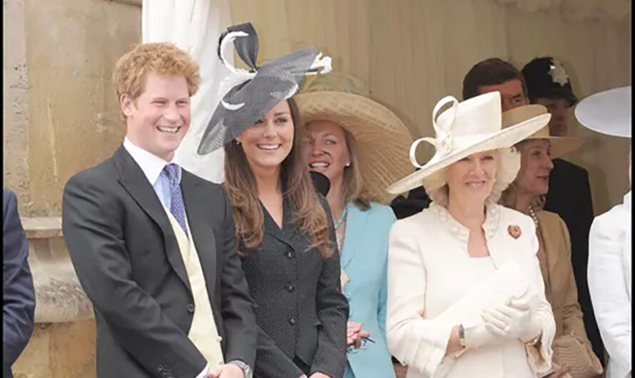 Le prince Harry : après ses retrouvailles avec Charles III, voici ses premiers mots