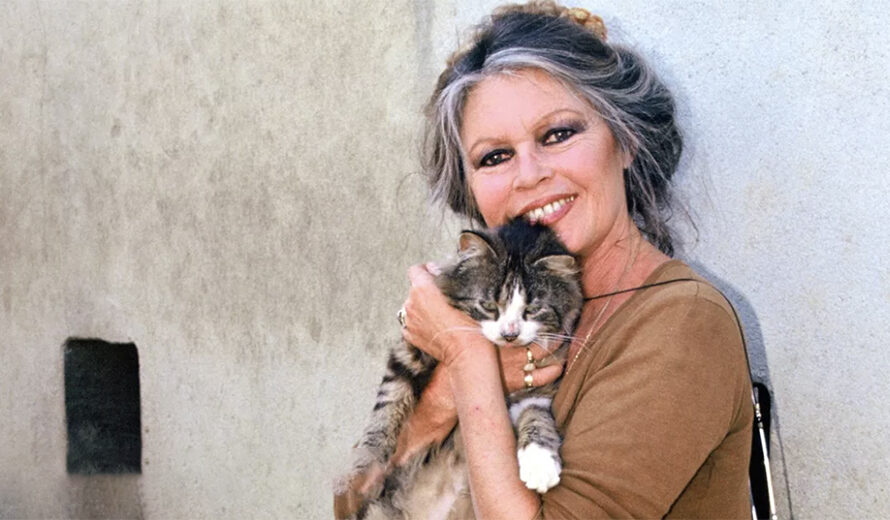 Héritage de Brigitte Bardot : voici à qui revient finalement La Madrague, et c’est une grande surprise !
