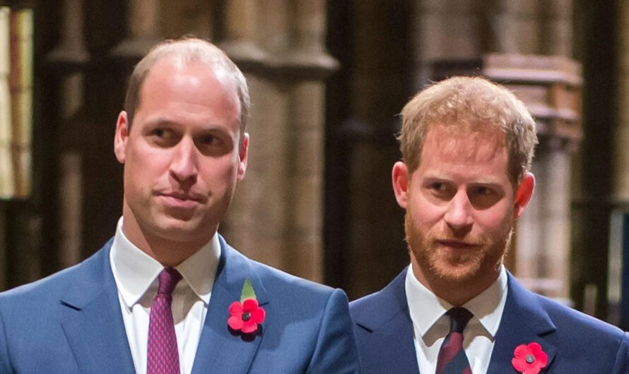 «Il est rancunier» : pourquoi William n&rsquo;a pas vu son frère Harry à Londres ?